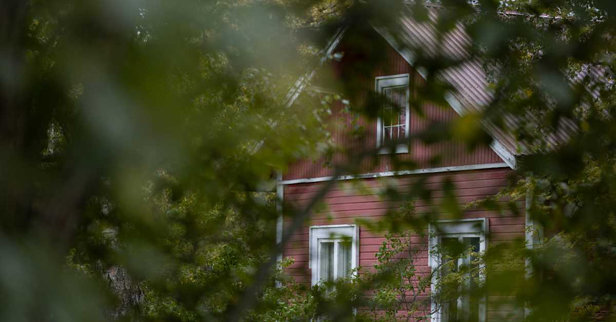 Lapsen­raiskauksesta epäilty viljeli ja levitti kannabista – sai tuomion ja on koeajalla | Kotimaa