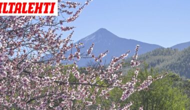Teneriffa varautuu pahimpaan