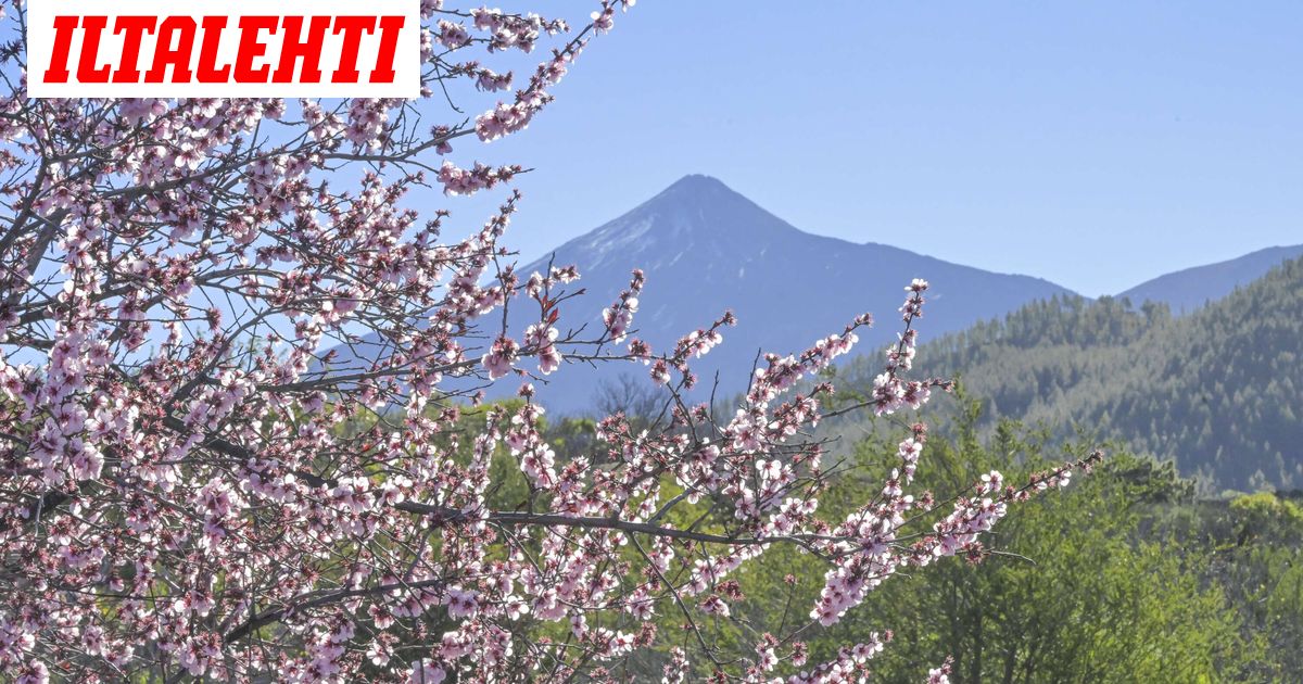Teneriffa varautuu pahimpaan