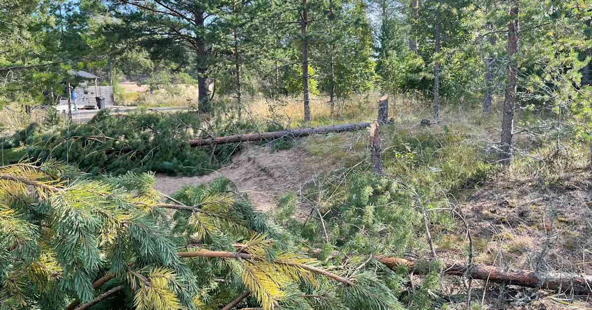”Ei tämä mikään uusi asia ole” – Laajalahdessa luvattomia puunkaatoja, ilkivalta retkipaikoilla muutenkin yleistynyt | Keski-Pohjanmaa