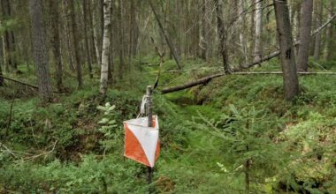 Suunnistuksen SM-kisoissa ikävä tilanne – kärkinimet jättivät kisan kesken auttaakseen loukkaantunutta urheilijaa | Urheilu