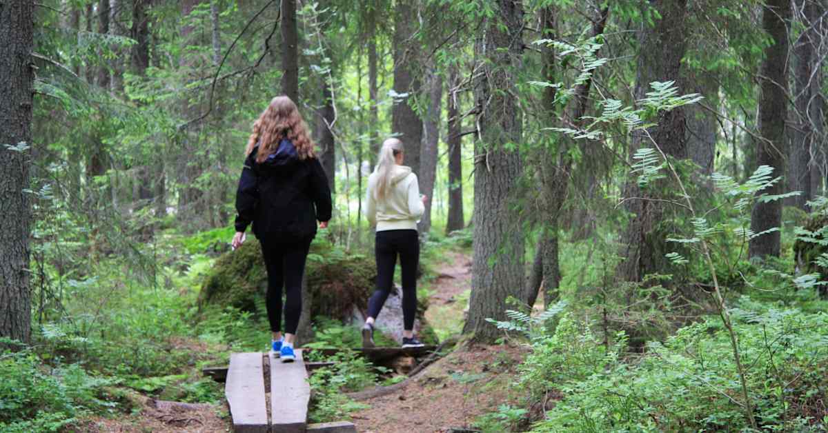 Kolmen vuoden urakka valmis – Vaasa yhtenäisti luontoliikuntareitistönsä | Pohjanmaa