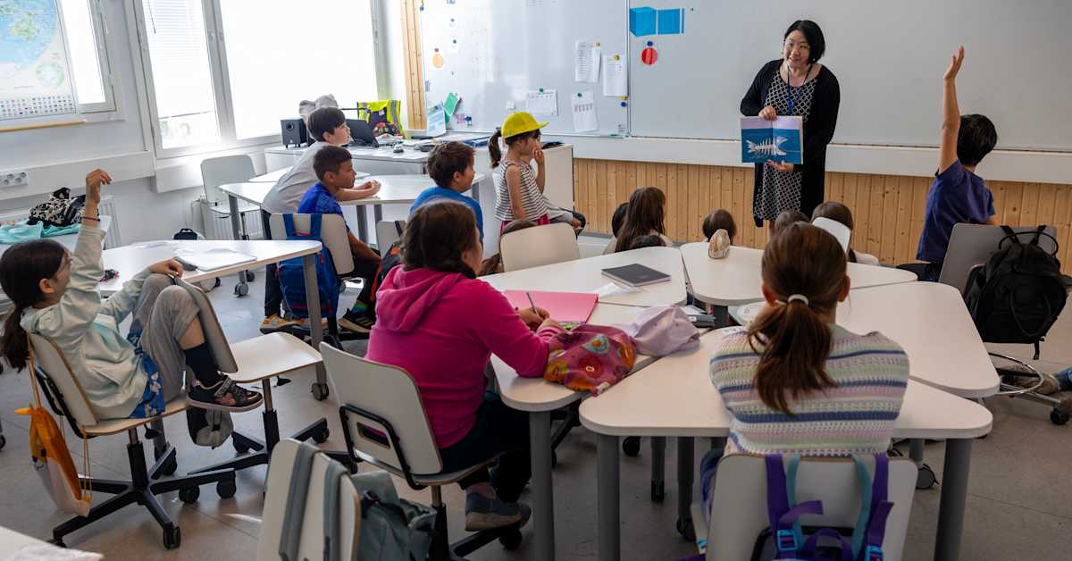 Luokanopettajan koulutus ei tulevaisuudessa enää riitä, kun oppilaiden määrä vähenee | Kotimaa