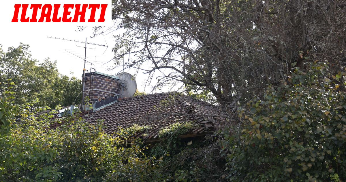 Uutta tietoa vanhempiensa ruumiit pakastaneesta lääkäristä: Valehteli poliisille päin naamaa