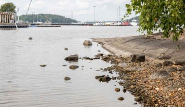 Saimaan vesiraja pakeni – voiko matalasta vedenpinnasta olla jotakin hyötyä? | Etelä-Karjala