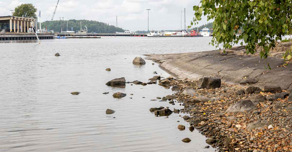 Saimaan vesiraja pakeni – voiko matalasta vedenpinnasta olla jotakin hyötyä? | Etelä-Karjala