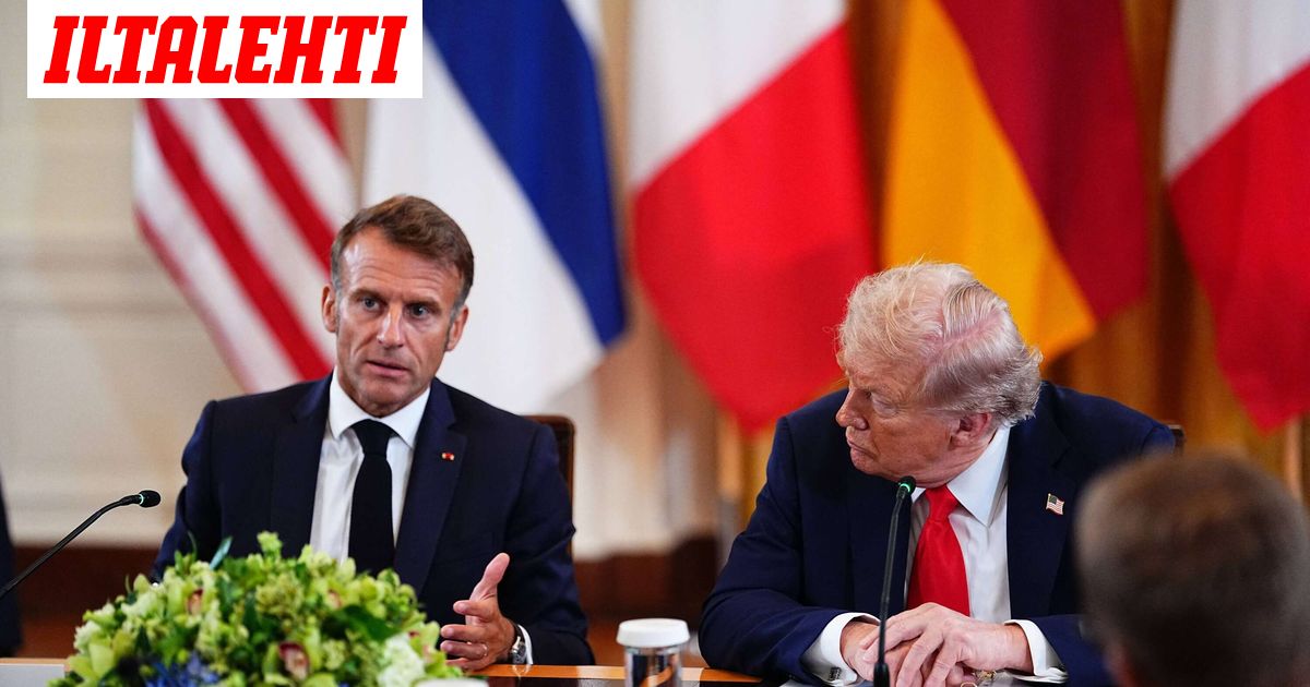 Huippututkija Venäjästä ja lännestä: ”Olemme häviämässä”