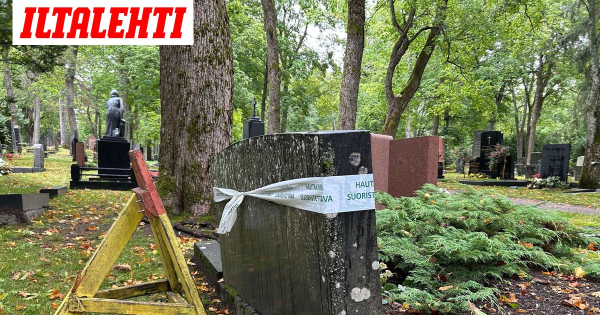 Tällaisen rangaistuksen ruumiiden pakastaja voi saada – Professori ei muista mitään vastaavaa