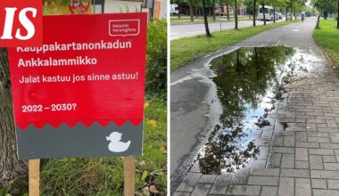 Lammikko ei kuivu Itä-Helsingissä – nyt ilmestyi koominen kyltti