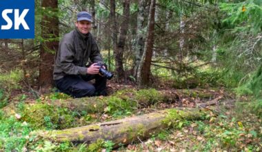 Raumalainen luontoharrastaja löysi Pyytjärven metsästä lajin, josta ei ole tehty aiemmin havaintoja Suomessa