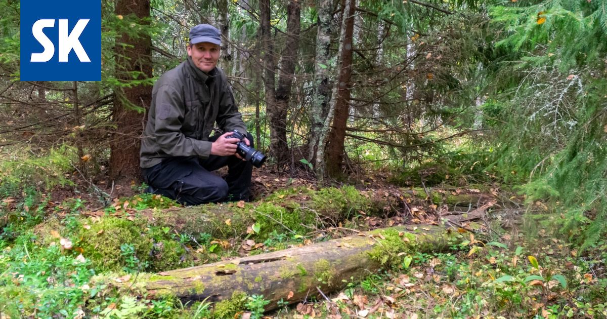 Raumalainen luontoharrastaja löysi Pyytjärven metsästä lajin, josta ei ole tehty aiemmin havaintoja Suomessa