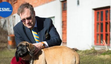 Vesa-Pekka Kangaskorpi hylkäsi kymmenet miljoonat eurot ja helpon elämän vuonna 2006 – mediaimperiumin kasvattajan tarina tarjoaa myös paljastuksia | Keski-Suomi