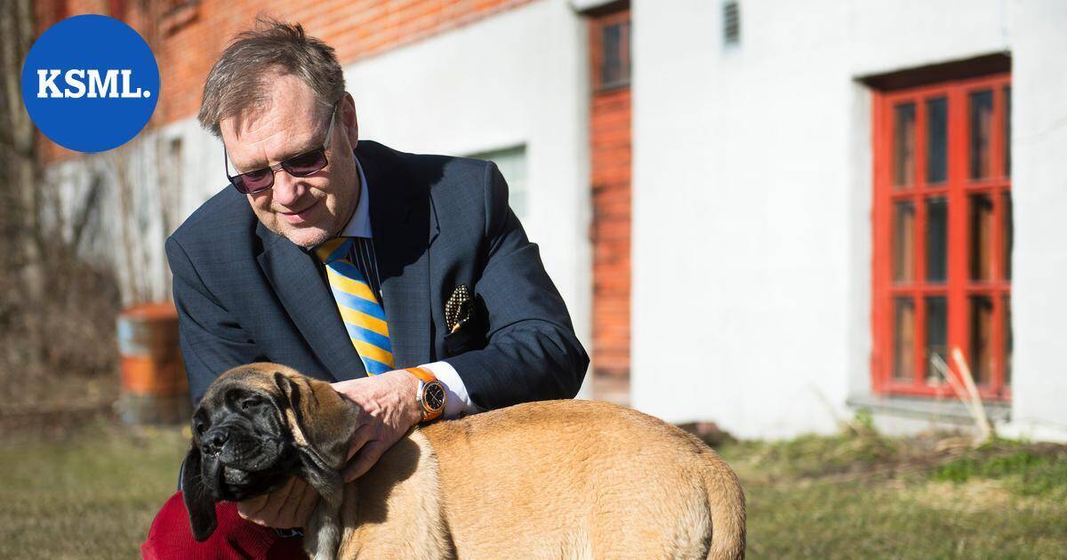 Vesa-Pekka Kangaskorpi hylkäsi kymmenet miljoonat eurot ja helpon elämän vuonna 2006 – mediaimperiumin kasvattajan tarina tarjoaa myös paljastuksia | Keski-Suomi
