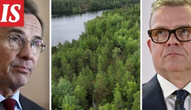 Suomen ja Ruotsin pääministerit älähtävät EU:n metsätavoitteista