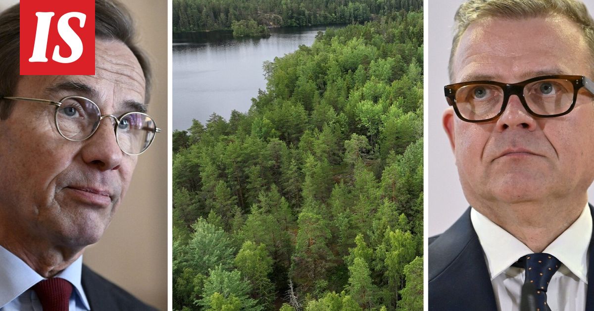 Suomen ja Ruotsin pääministerit älähtävät EU:n metsätavoitteista