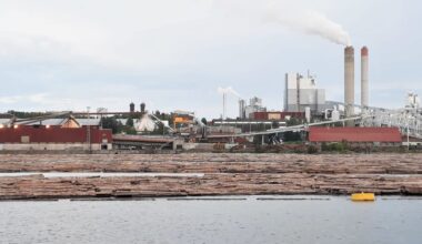 Metsäyhtiö UPM jatkaa sellutehtaan tuotannon rajoittamista Lappeenrannassa – myös Pietarsaaressa tuotantotauko marraskuussa | Etelä-Karjala