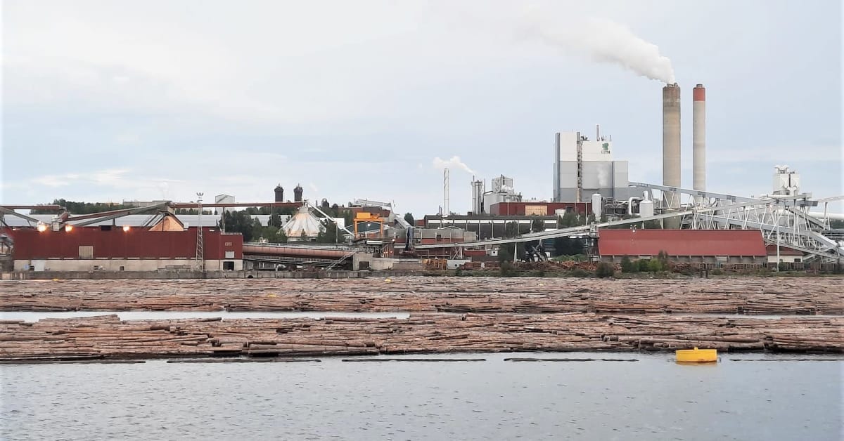 Metsäyhtiö UPM jatkaa sellutehtaan tuotannon rajoittamista Lappeenrannassa – myös Pietarsaaressa tuotantotauko marraskuussa | Etelä-Karjala