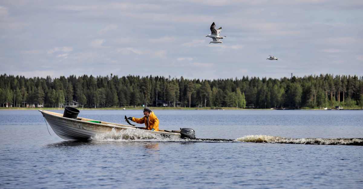 Ammattikalastajat voivat taas käyttää Paltamon kalatalon tiloja ja laitteita | Kainuu