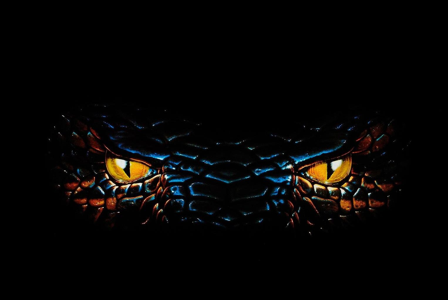Anaconda-traileri: Jack Blackin hahmo yrittää filmata roskaleffan uusiksi
