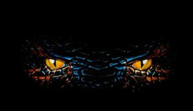 Anaconda-traileri: Jack Blackin hahmo yrittää filmata roskaleffan uusiksi