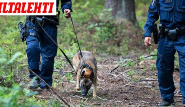 Yle: Poliisikoira hyökkäsi lapsen kimppuun