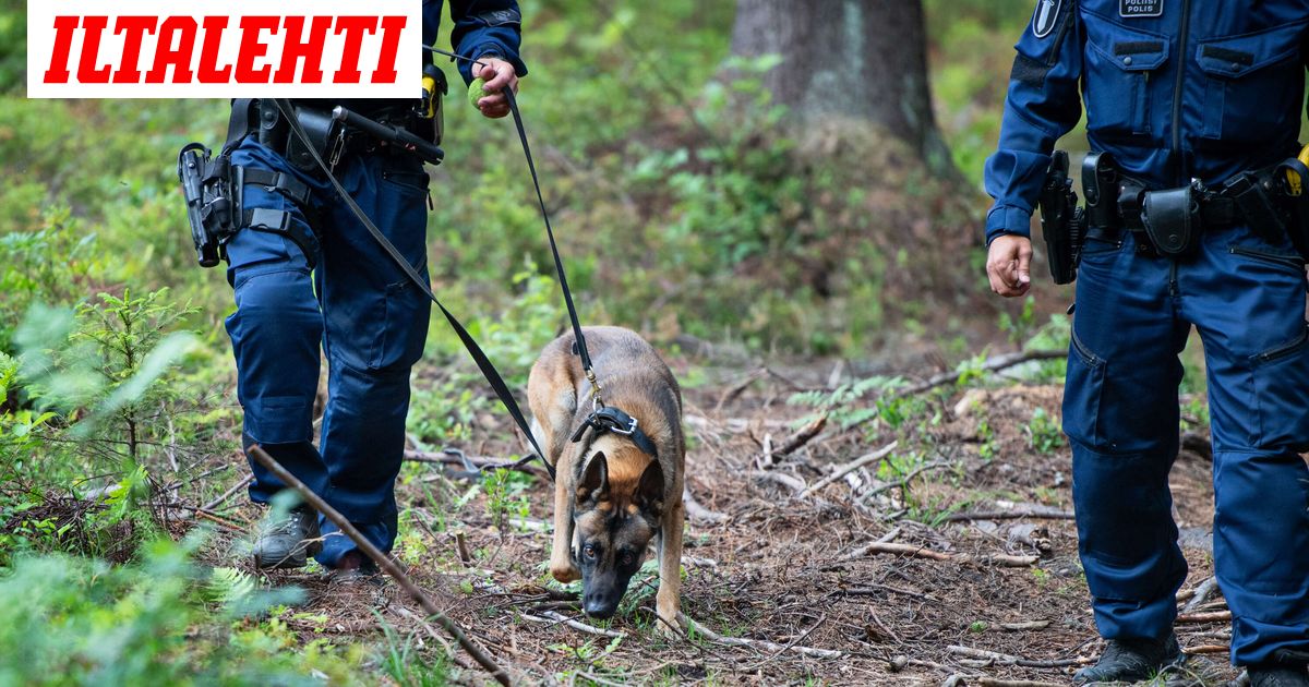 Yle: Poliisikoira hyökkäsi lapsen kimppuun