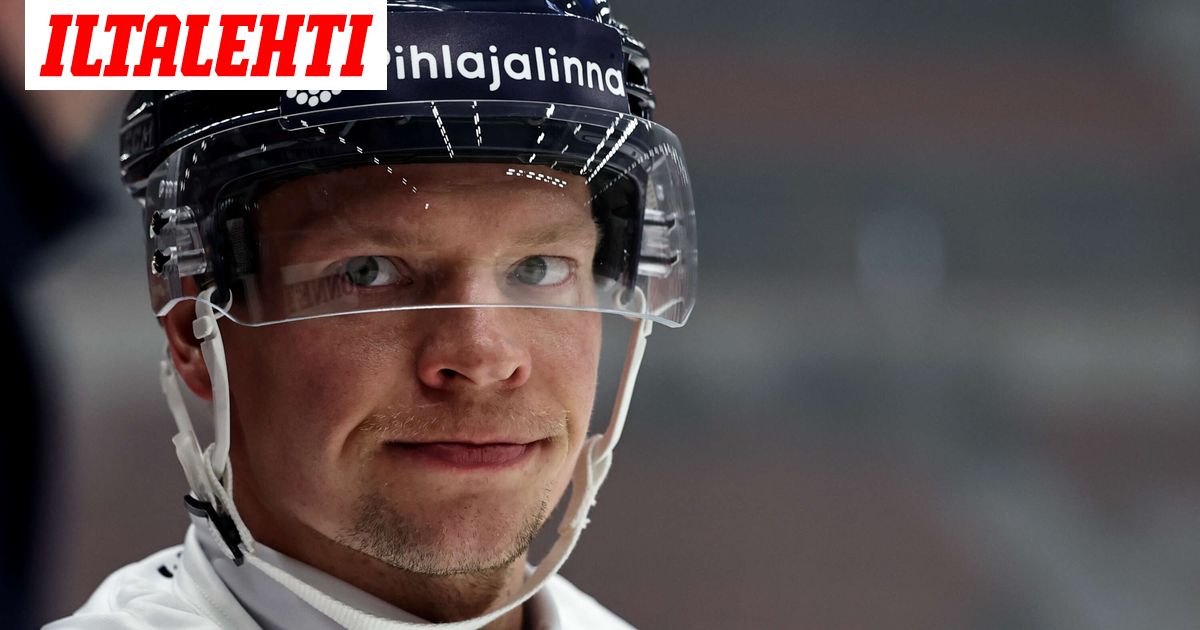 Nyt puhuu kokaiinista kärähtänyt Miro Aaltonen: ”Minulla ei ole riippuvuutta”