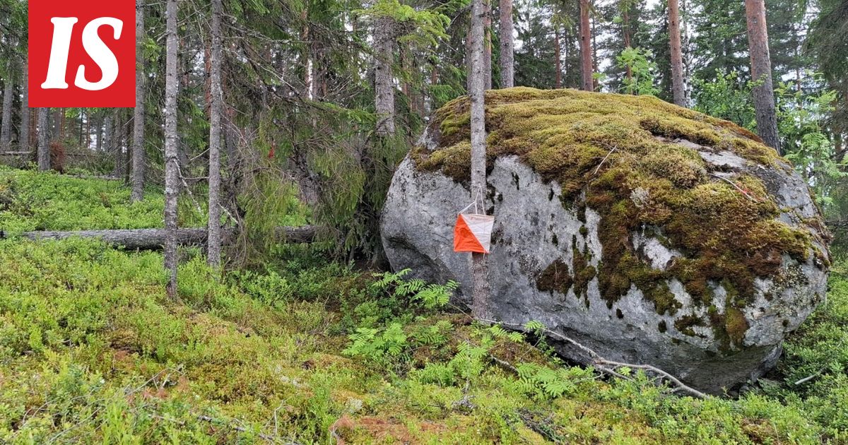 Superpesiksen mestarit häiriköivät suunnistajia Tampereella