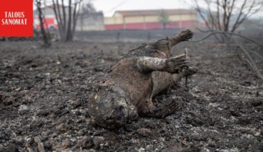 BBC: Näin paljon Espanjan maastopalot maksoivat