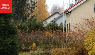 Suomalaisten omakotivarallisuus uhkaa sulaa - Ilta-Sanomat
