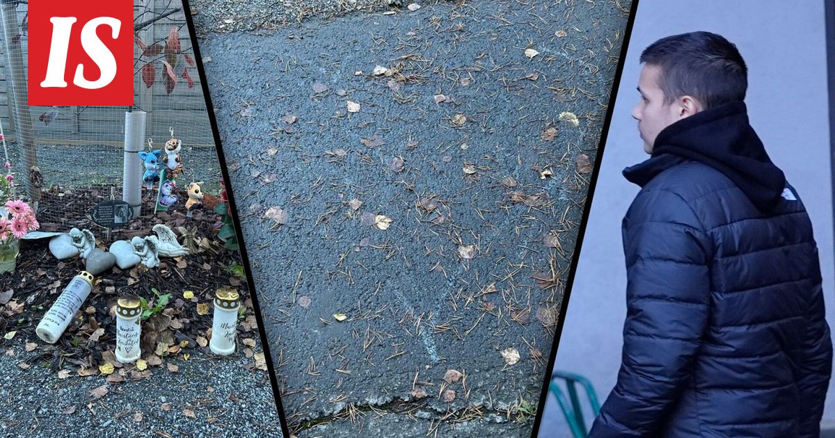 Valkeakoskella murhatun Vendin, 15, muistopaikka häpäisty törkeällä tavalla