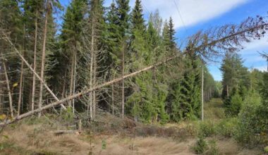 Tuuli ei riepotellutkaan Suomea – vahingot jäivät vähäisiksi | Keski-Suomi
