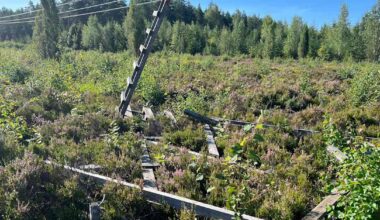 Hirvitorneja on rikottu tahallisesti useilla paikkakunnilla – salolainen metsästäjä loukkaantui sabotaasin takia | Varsinais-Suomi