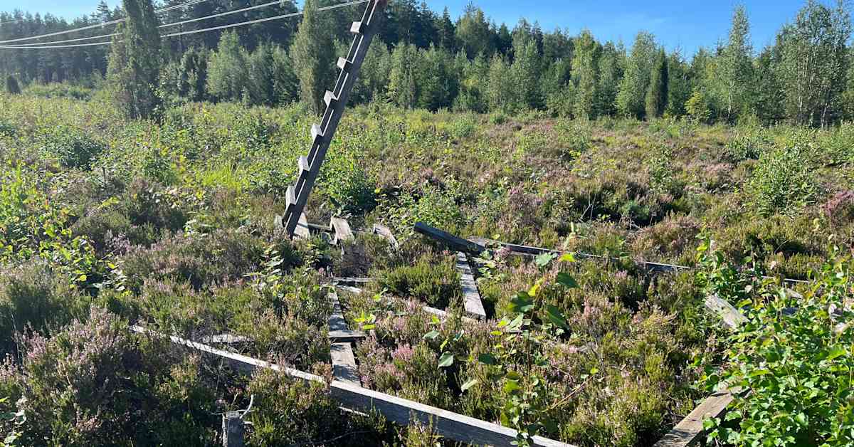 Hirvitorneja on rikottu tahallisesti useilla paikkakunnilla – salolainen metsästäjä loukkaantui sabotaasin takia | Varsinais-Suomi