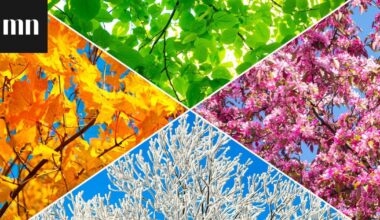 Me Naisten vuodenaikavisa: Testaa vuodenaikatietämyksesi!