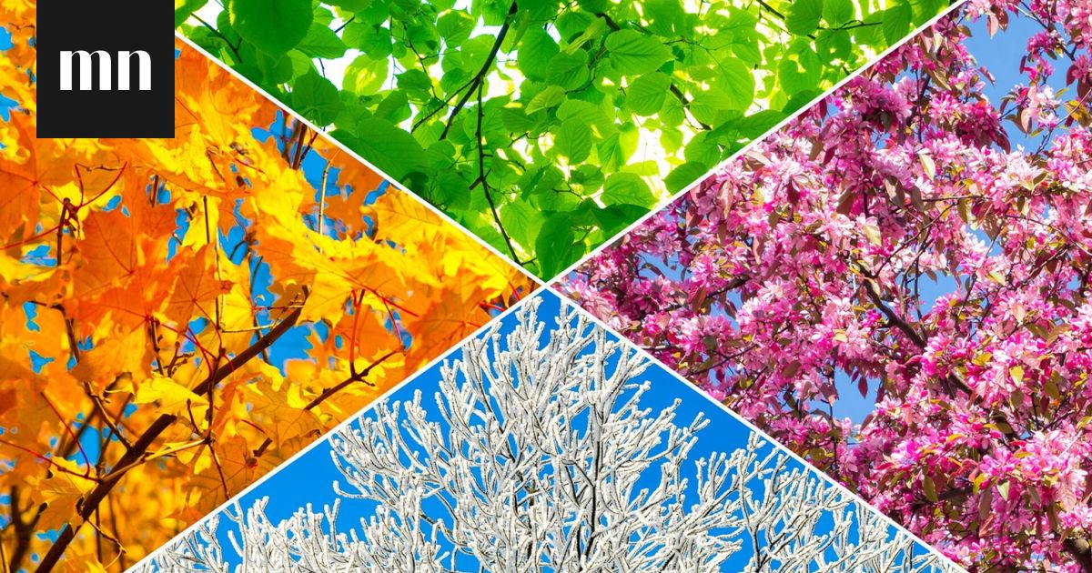 Me Naisten vuodenaikavisa: Testaa vuodenaikatietämyksesi!