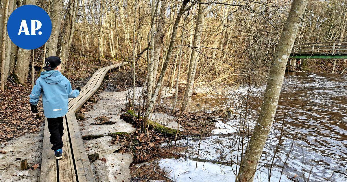 Luonto | Nukarinkosken ja Seitsemän veljeksen ulkoilureiteillä parannustöitä | Paikalliset