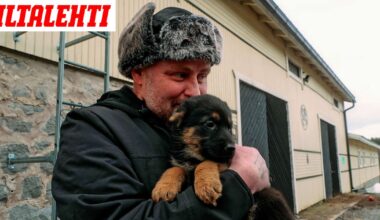 Uuden tulokkaan luonne huolestuttaa Huttusen Latea ja Sarkkua