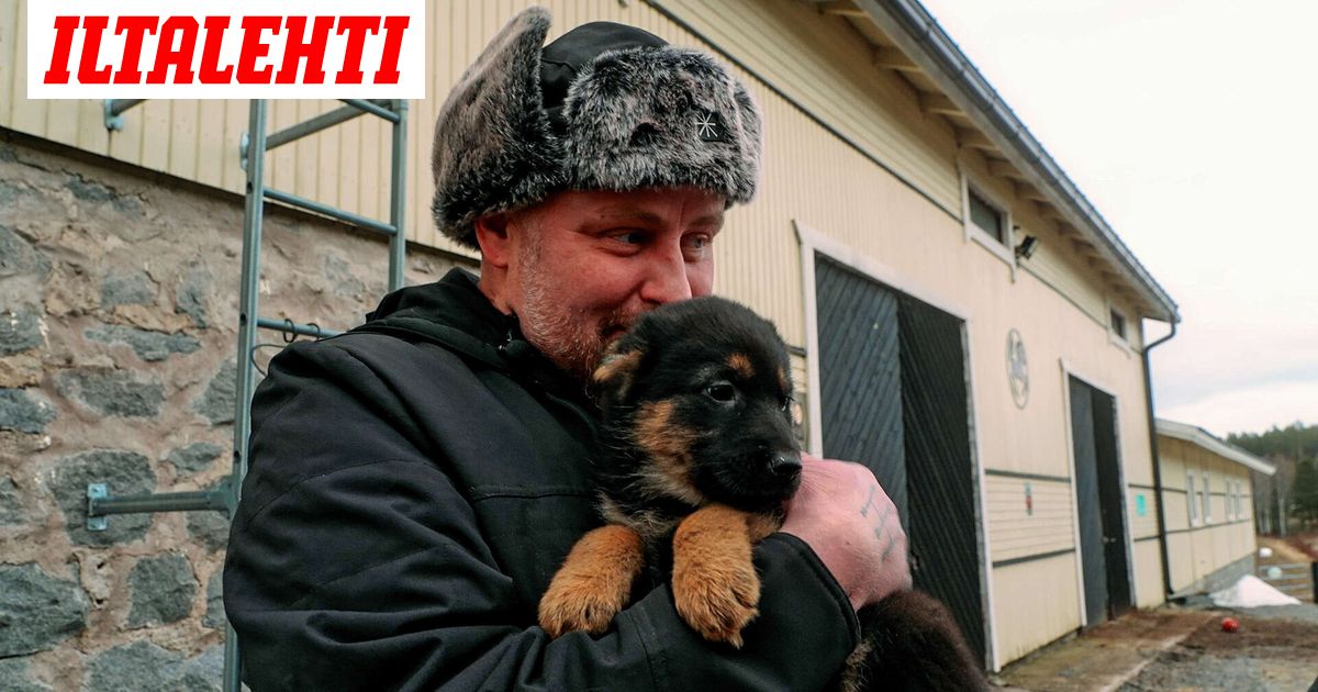 Uuden tulokkaan luonne huolestuttaa Huttusen Latea ja Sarkkua