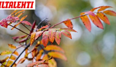 Nyt virtaa lämmintä – Pitkän aikavälin ennuste rävähti