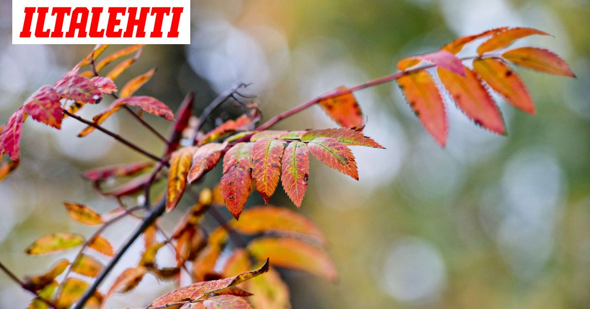 Nyt virtaa lämmintä – Pitkän aikavälin ennuste rävähti