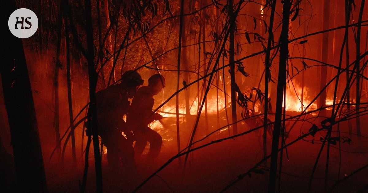 Suomalaispelastajat syöksyvät tulimereen vaikuttavassa dokumentissa