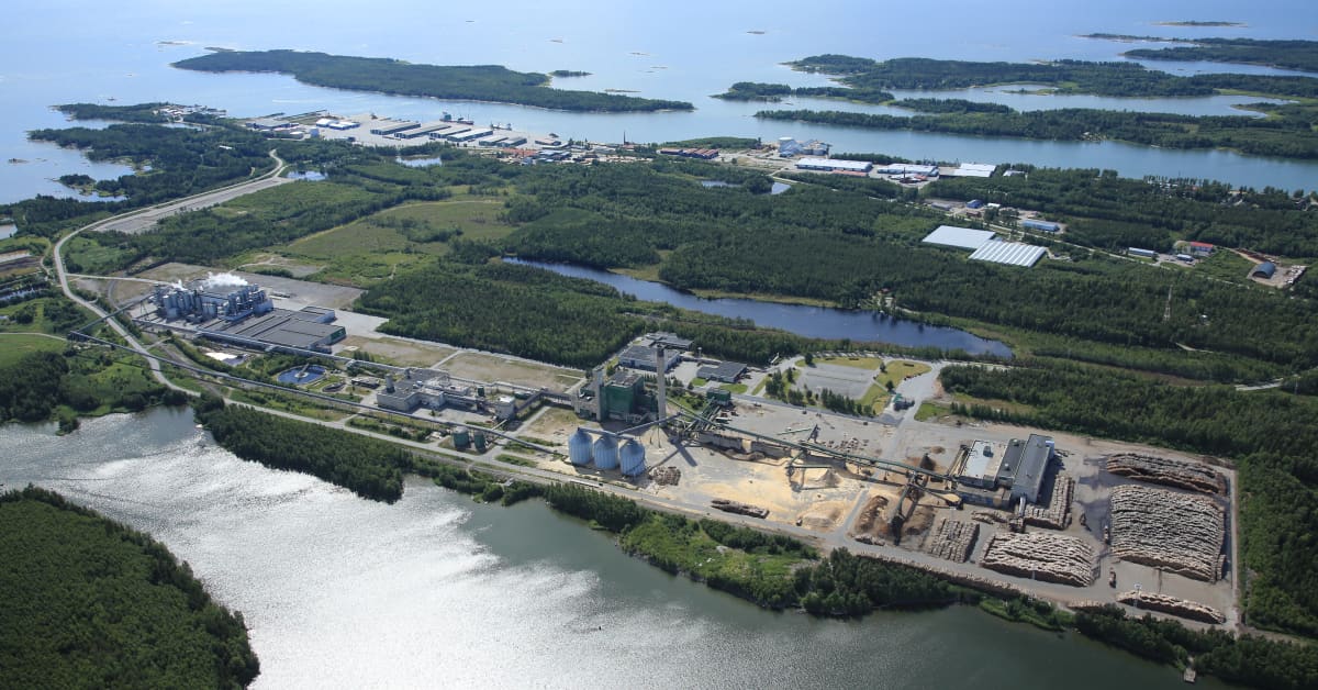Kaskisten sellutehdas ajetaan alas kuudeksi viikoksi – työntekijöille on kerrottu heikosta tilanteesta | Pohjanmaa