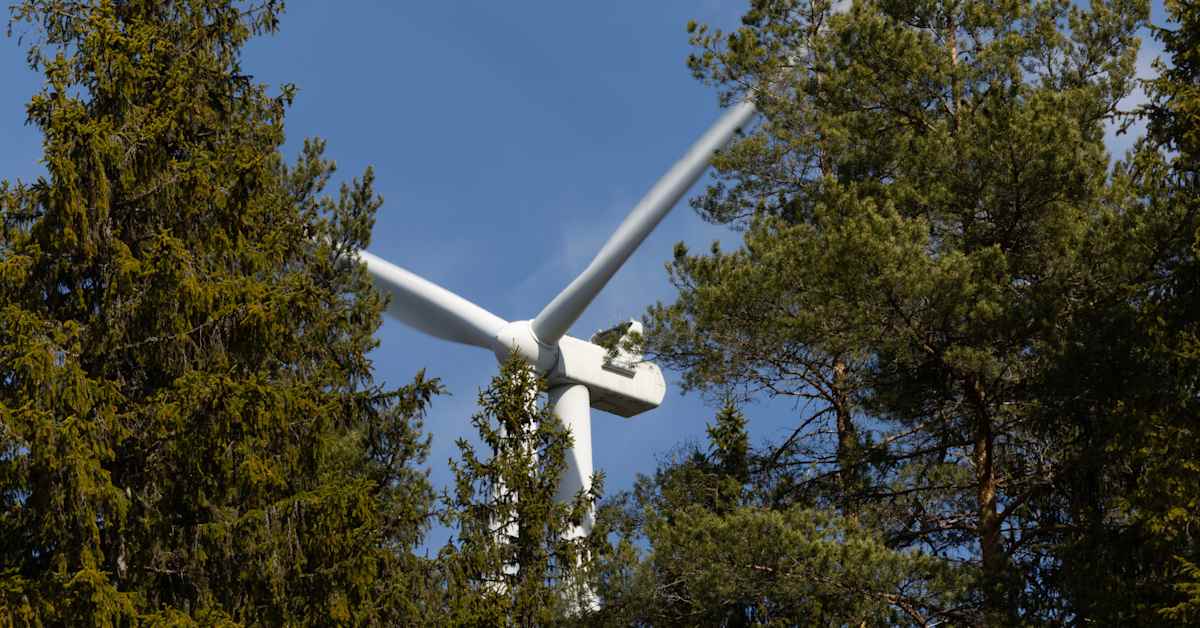 ”Luonto, ihmiset ja maisema kärsivät liikaa” – Kokkola haluaa karsia Pihtinevan suunniteltua tuulipuistoa | Keski-Pohjanmaa