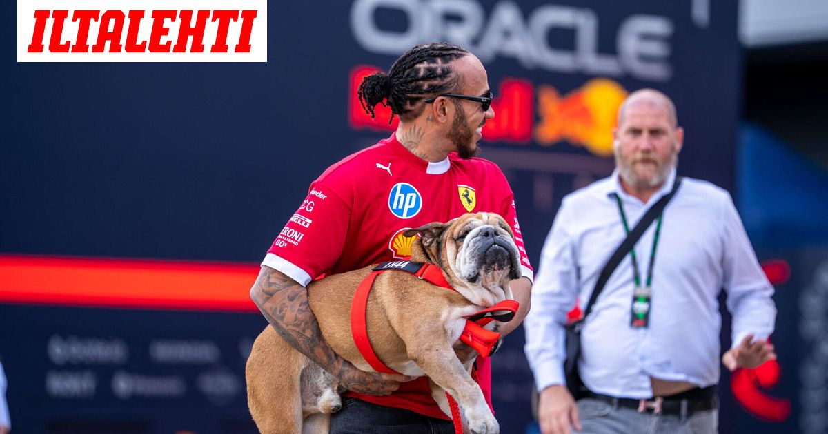 Lewis Hamiltonilta riipaiseva päivitys