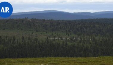 Luonnonperintösäätiölle lahjoitettiin 21 hehtaarin suojelualue Ivalossa | Uutissuomalainen