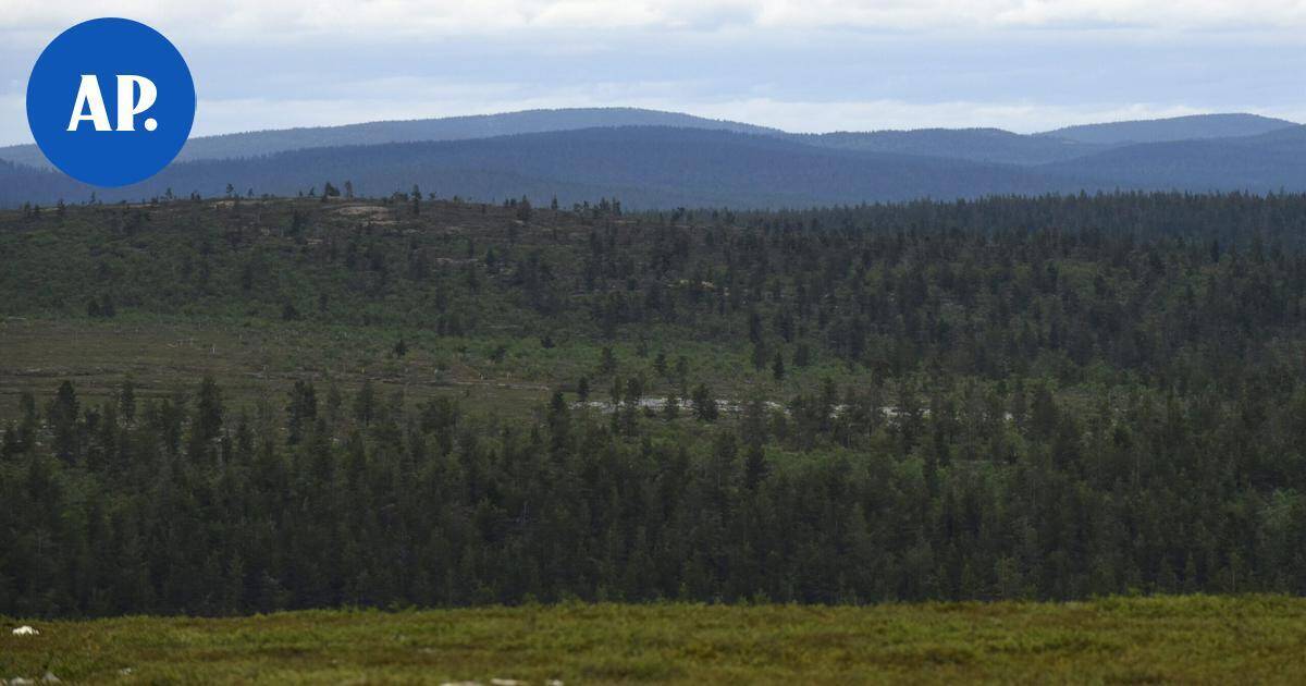 Luonnonperintösäätiölle lahjoitettiin 21 hehtaarin suojelualue Ivalossa | Uutissuomalainen