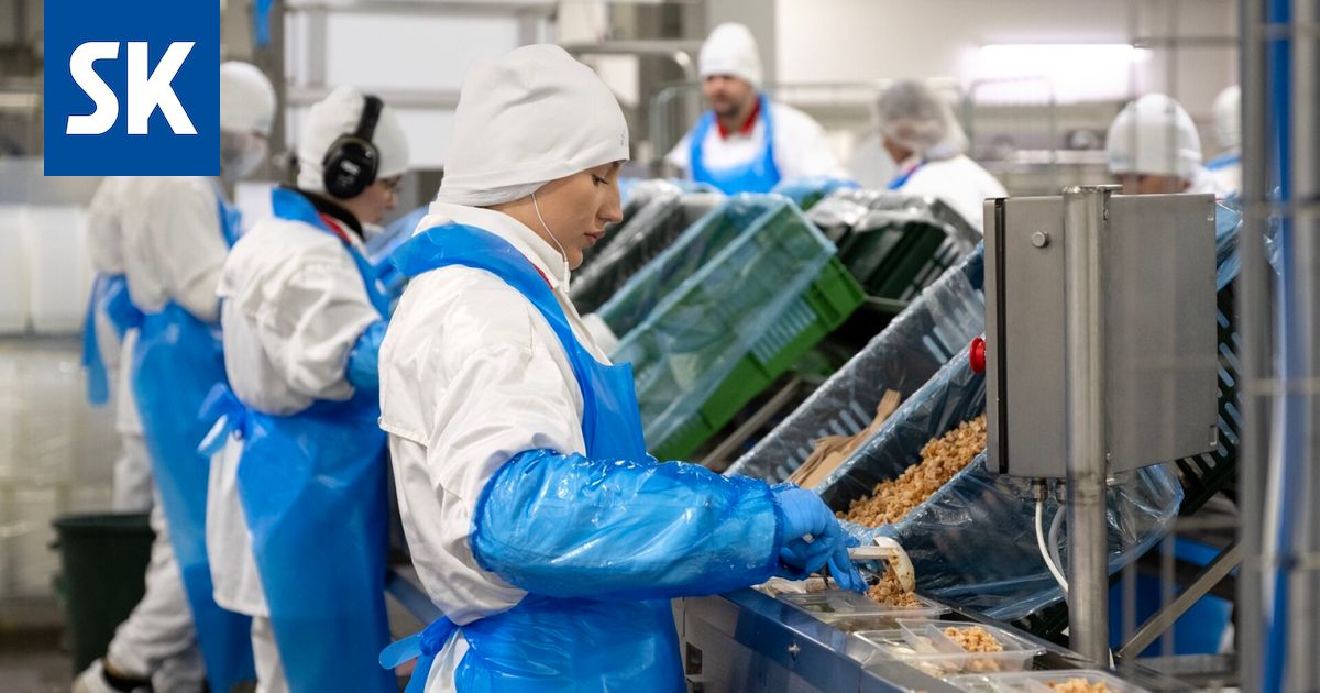 Muutaman vuoden teollisuushalli kumisi tyhjyyttään – Nyt siellä toimii jo kolme firmaa yhteistyössä