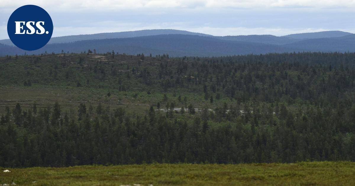 Luonnonperintösäätiölle lahjoitettiin 21 hehtaarin suojelualue Ivalossa | Uutissuomalainen