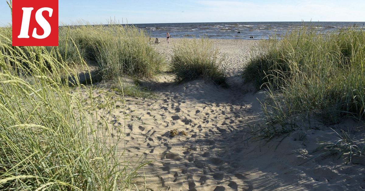 Hailuodossa ammuttu laukaus – yksi otettu kiinni